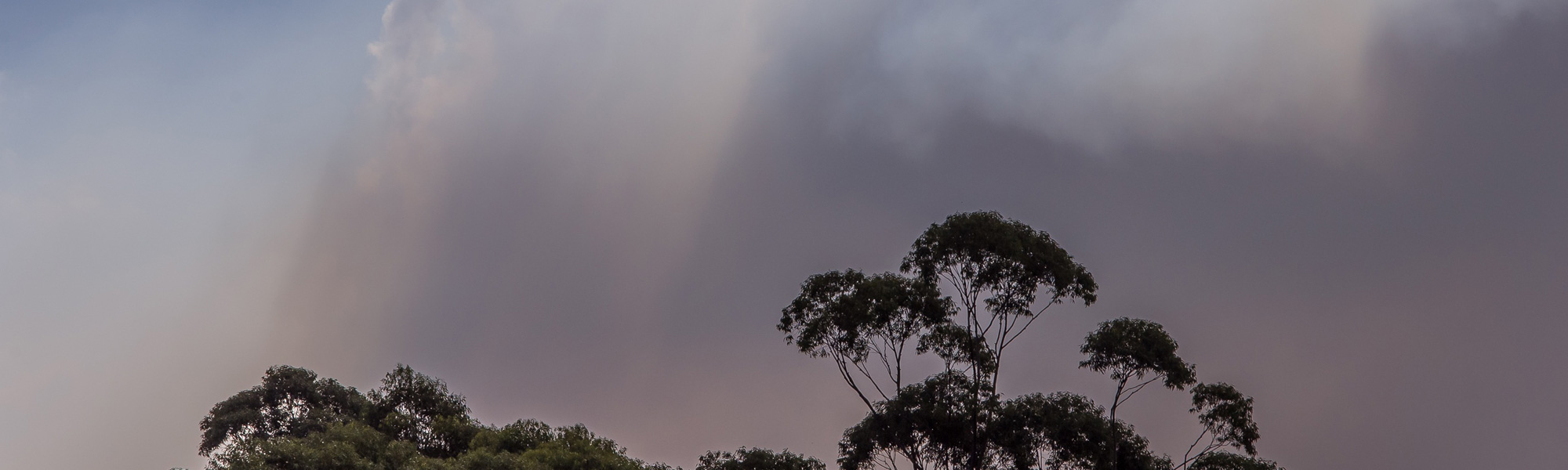 Bushfire Safety: Why Leaving Early Is Always the Safest Choice