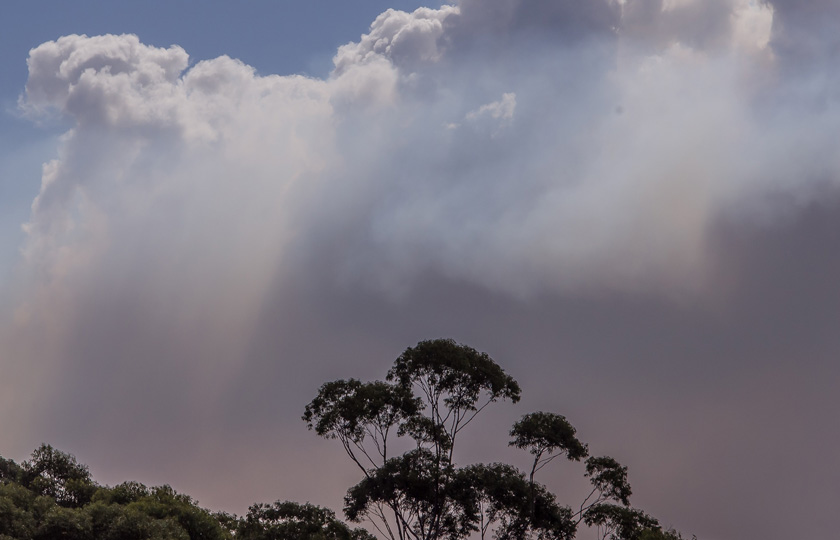 Bushfire Safety: Why Leaving Early Is Always the Safest Choice