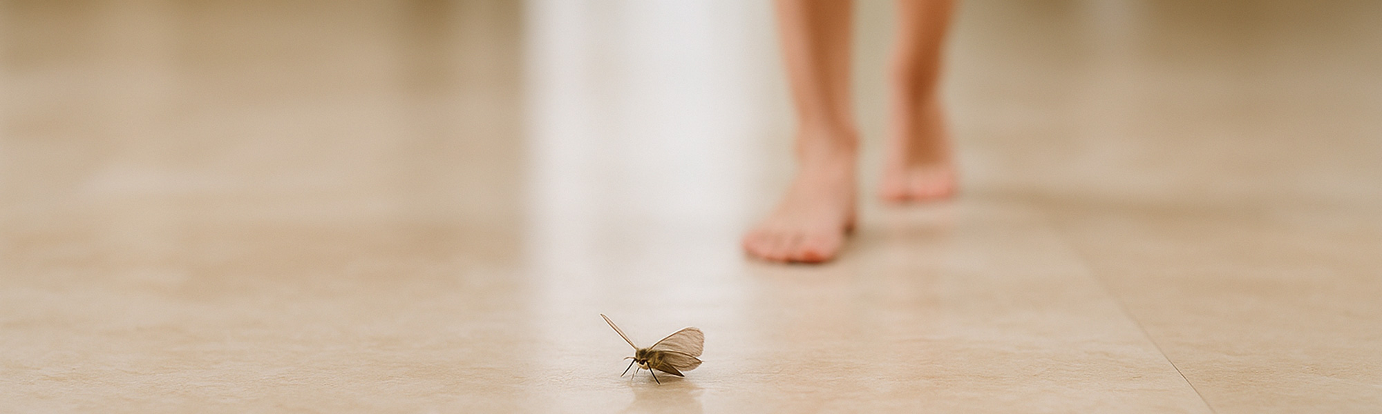 Getting Used to Killing Insects After Moving to the Subtropics