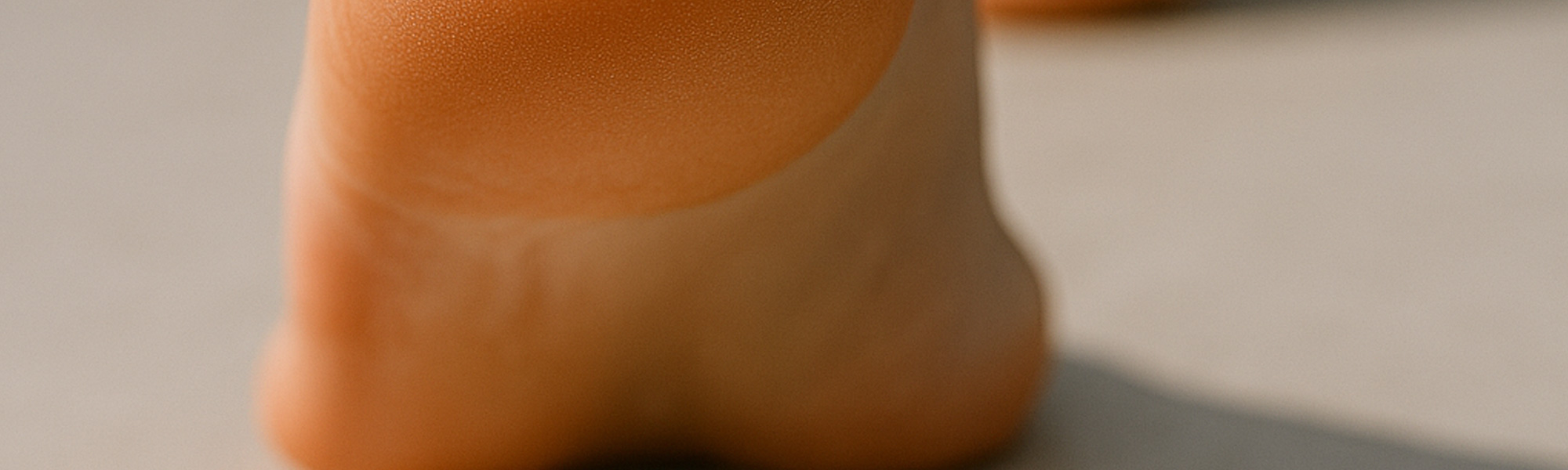 The Quiet Art of Handling Pests When You Have Guests