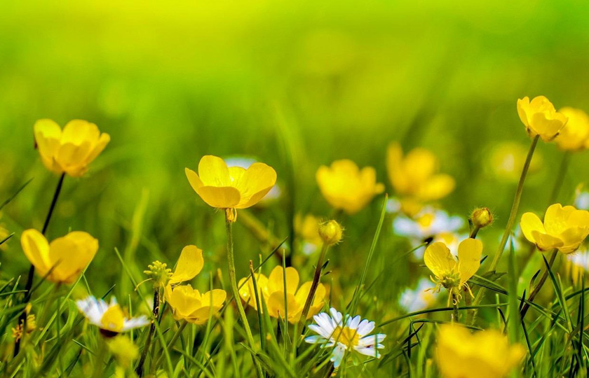 Outdoor Showing Preparation: First Impressions Start Outside