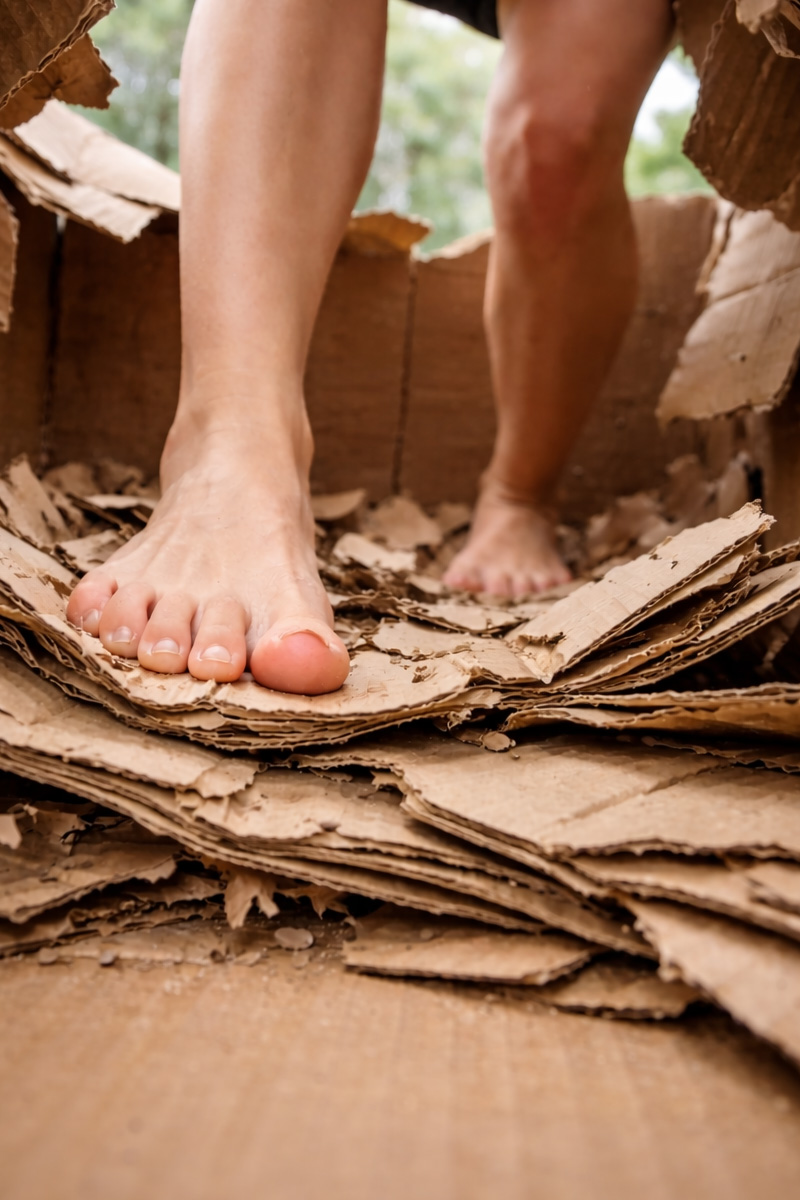 Garden hose lightly wetting a cardboard cubby house before dismantling